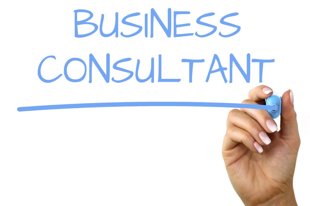 Small Business Consultant: A Comprehensive Guide